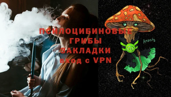 PSILOCYBIN Бронницы